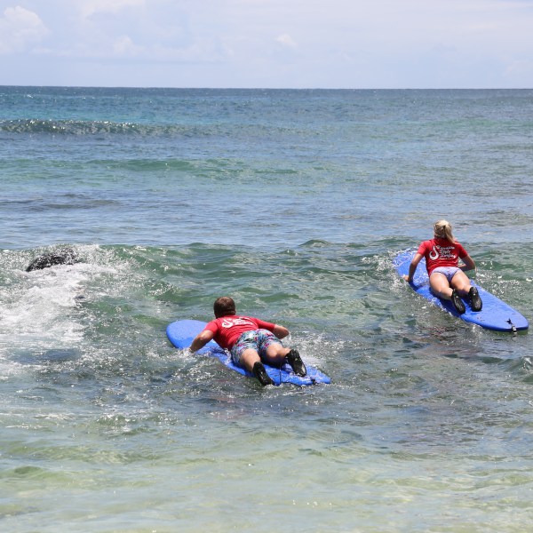 two people paddling over wave on surfboards