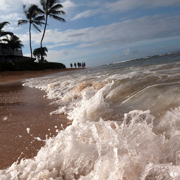 waves and the kauai shoreline with palm trees